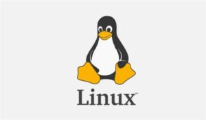 【小记】解决 Windows 和 Linux 双系统时间不同步问题